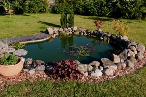 Read more about the article Best Location for a Garden Pond