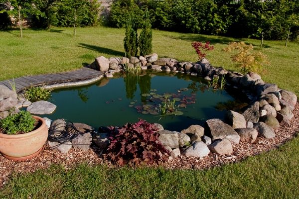 Pond decoration