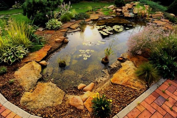 Pond edging pavers