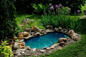 Read more about the article Preformed Ponds Versus Pond Liners