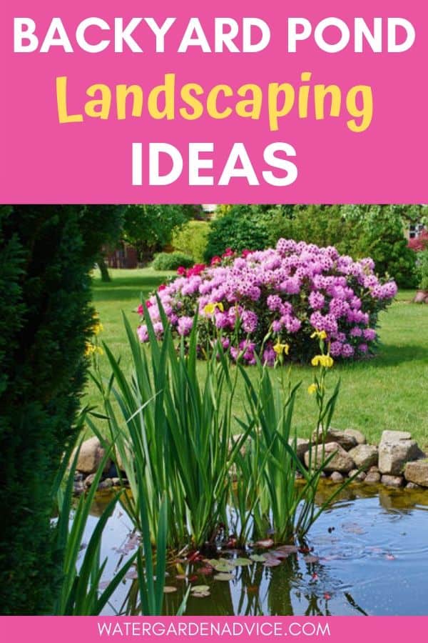 Backyard pond landscaping ideas