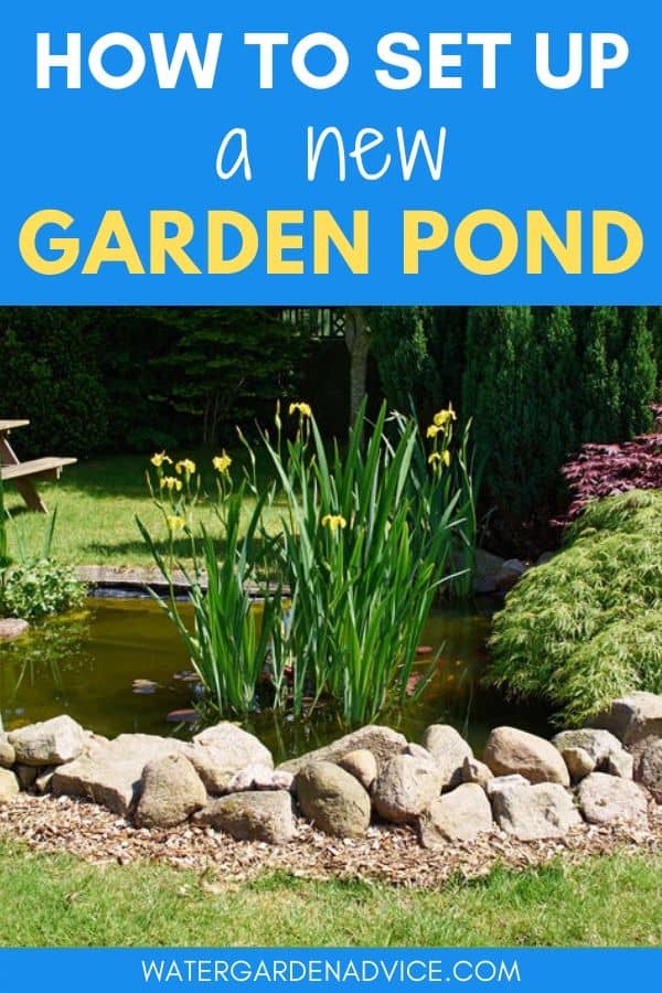 setting up a new garden pond