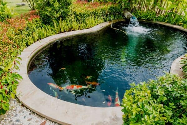 Pond with blue water