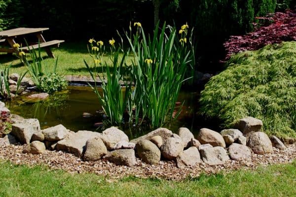 rocks around a pond