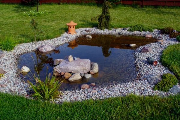 Read more about the article 15 Small Backyard Pond Ideas