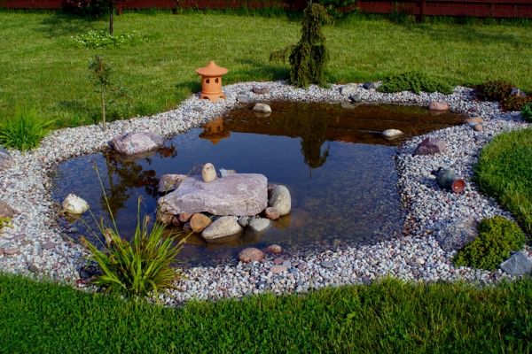 Small pond ideas