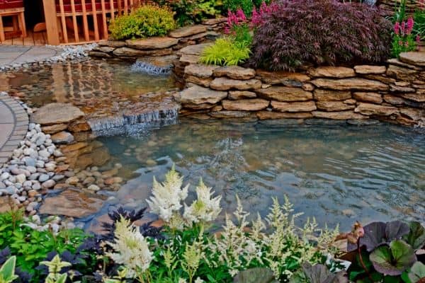 Clear pond water