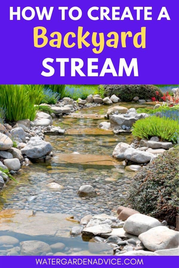 creating a backyard stream