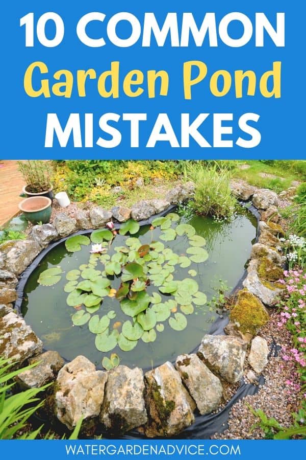 Garden pond mistakes