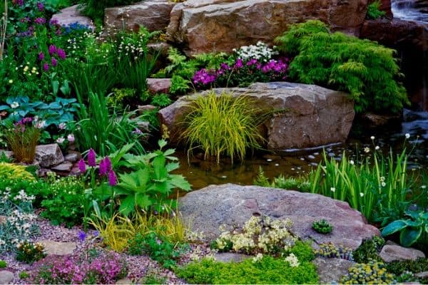 natural garden stream