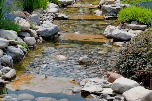 backyard stream