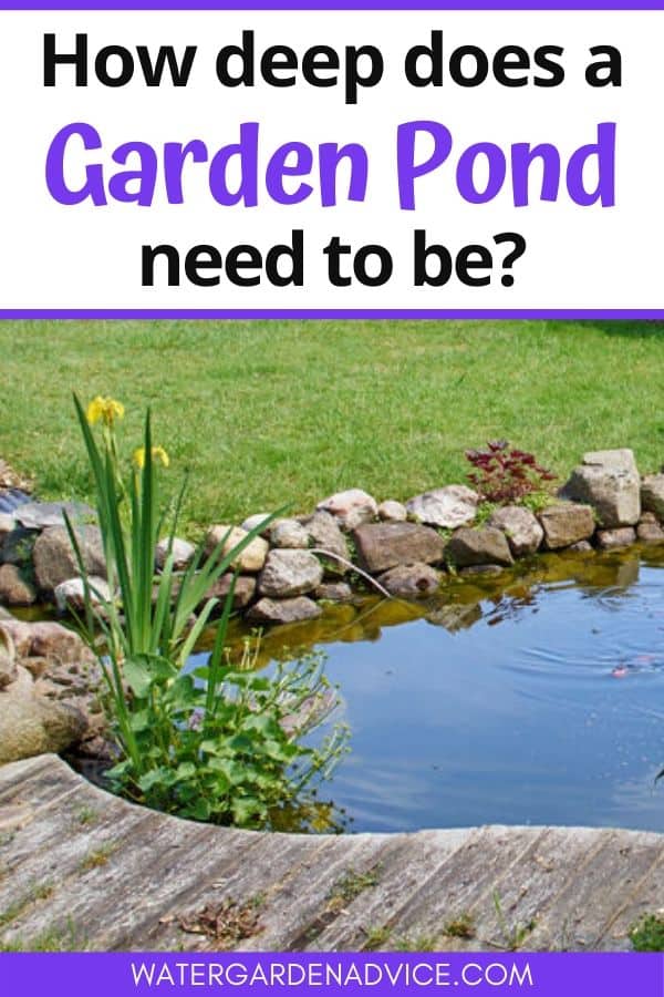 garden pond depth