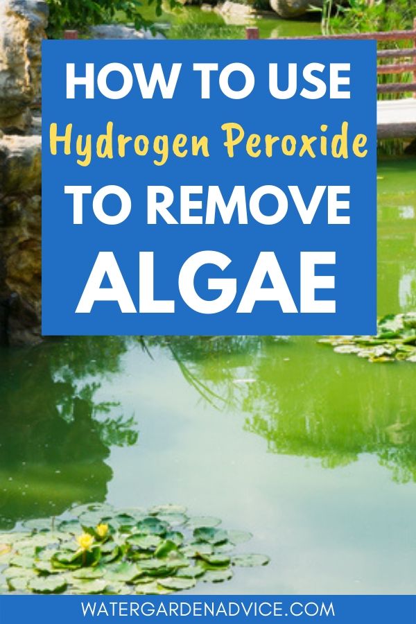 hydrogen peroxide for pond algae