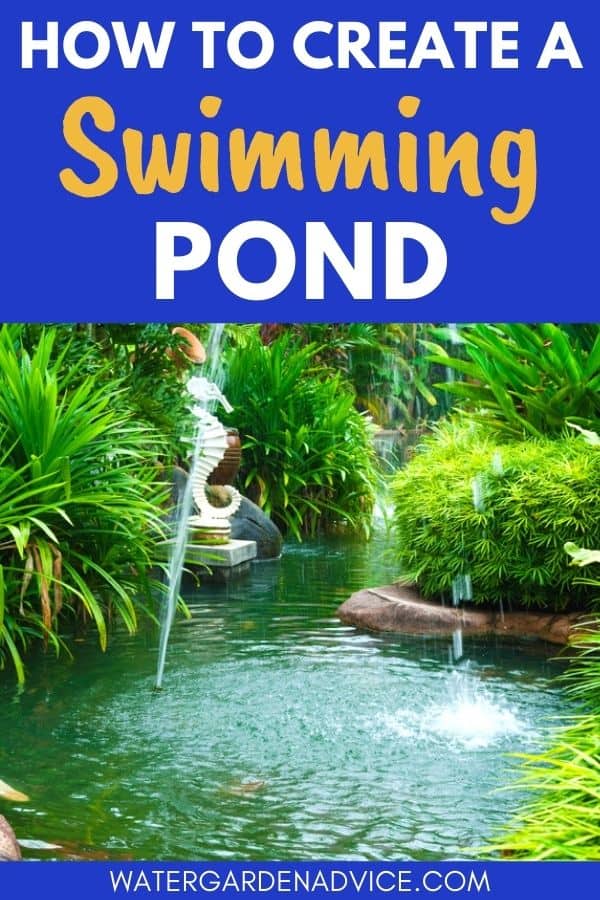 building a swim pond