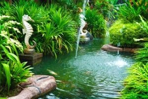 Read more about the article How To Create A Natural Swimming Pond