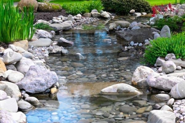 pond overflow area