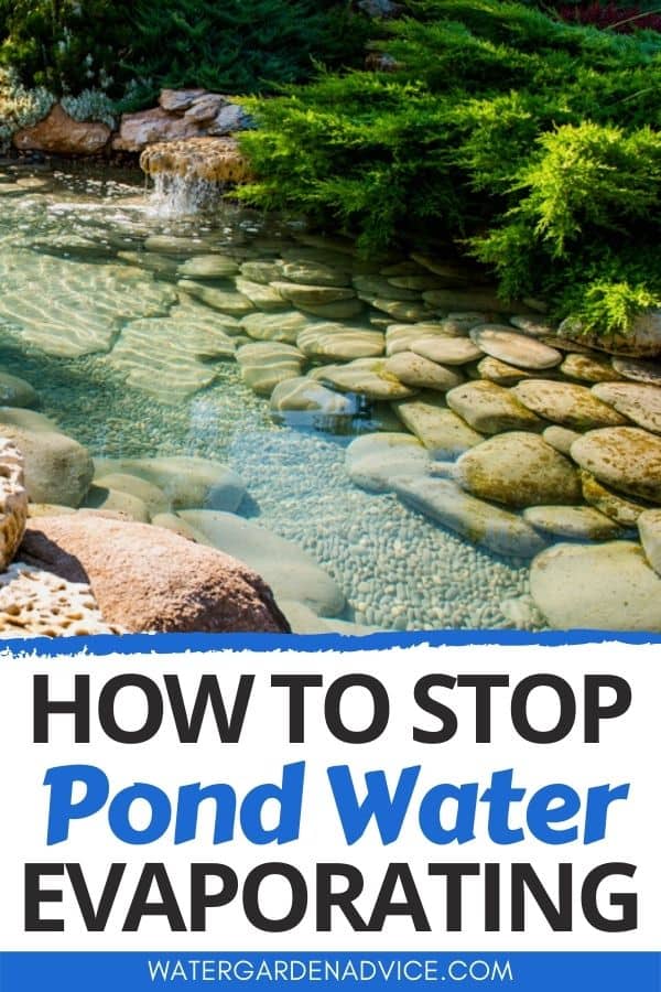 stop pond water evaporation