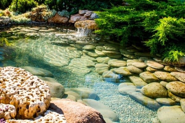 Read more about the article How to Reduce Pond Water Evaporation