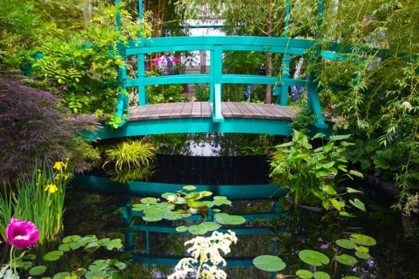 pond with bridge