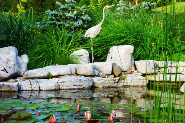 pond with rocks