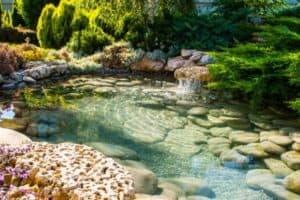Read more about the article 10 Backyard Pond Benefits