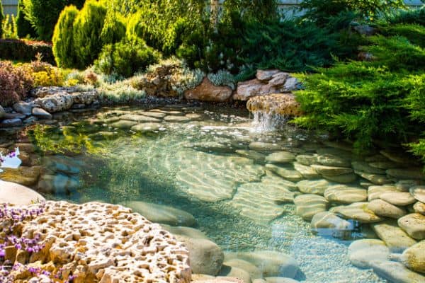 pond with waterfall