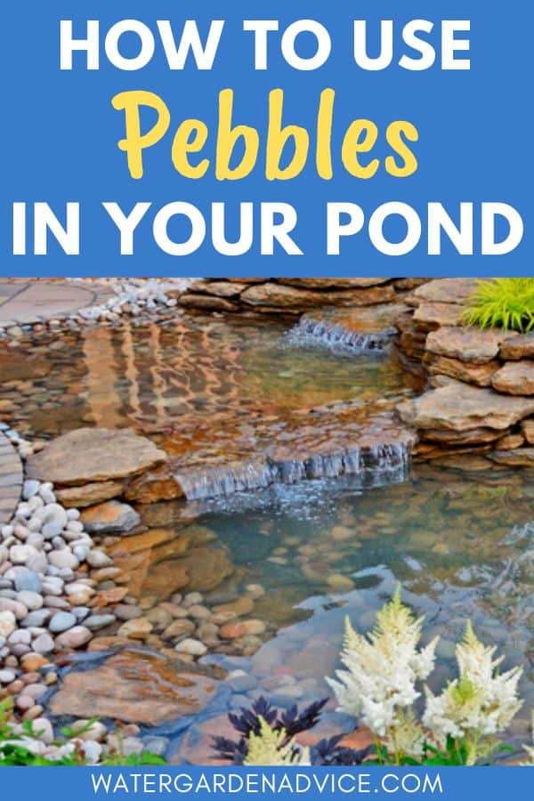 pebbles in a pond