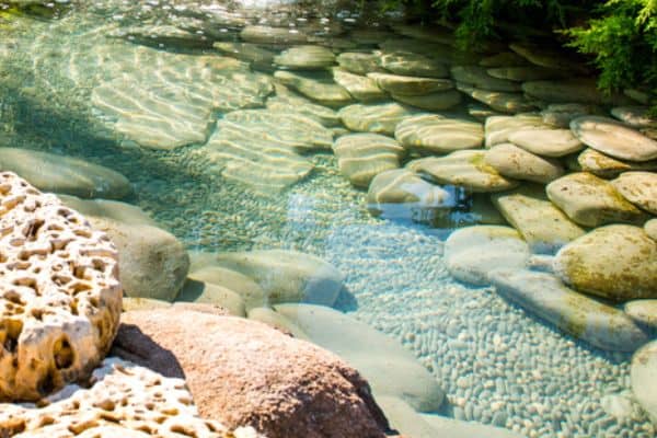 pond with pebbles