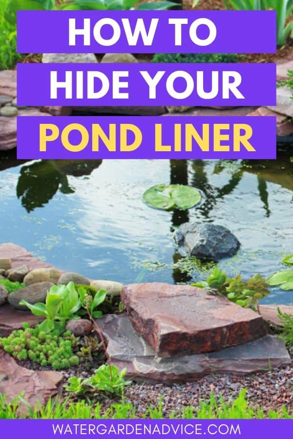 concealing the pond liner