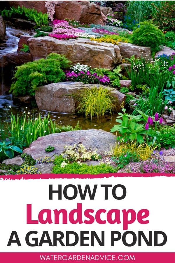 landscaping for ponds