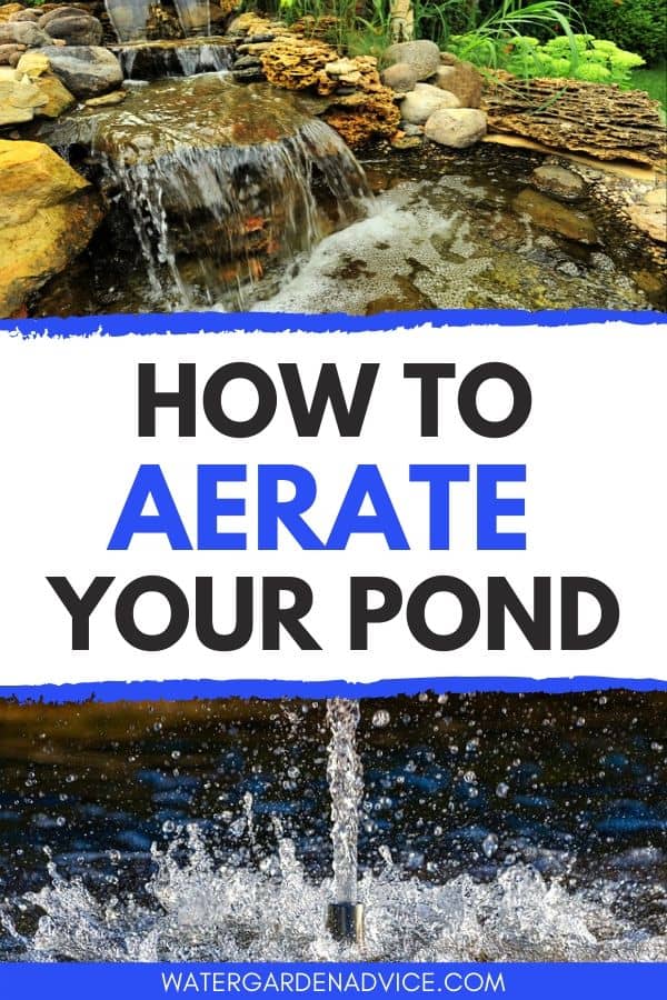 aerating a pond