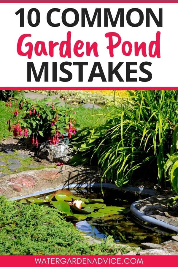 mistakes when building a pond