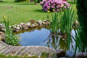 Read more about the article 8 Stunning Garden Pond Shapes
