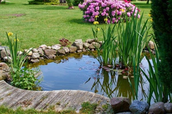 Read more about the article 8 Stunning Garden Pond Shapes