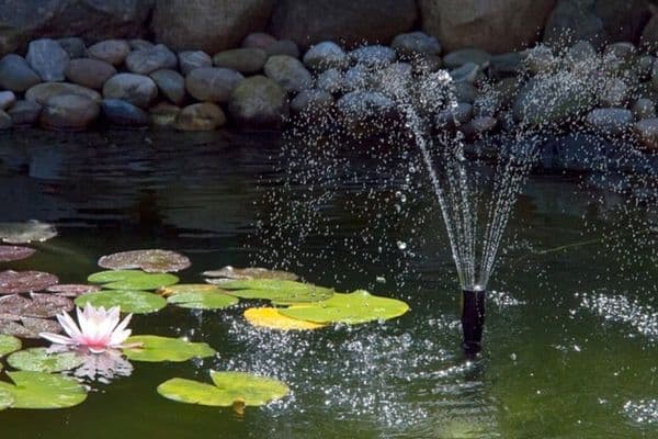 small pond fountain