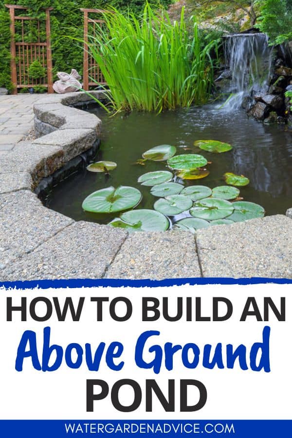 above ground pond