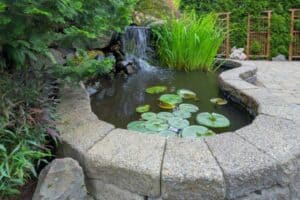 Read more about the article How to Build an Above Ground Pond