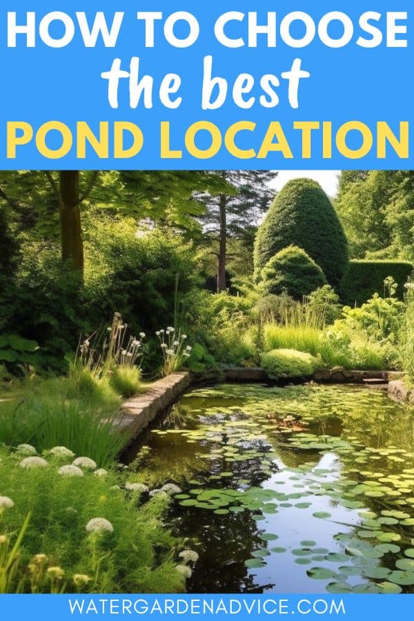 choosing a pond location