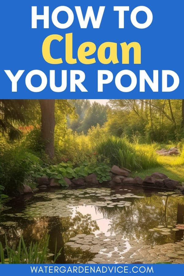 cleaning a pond