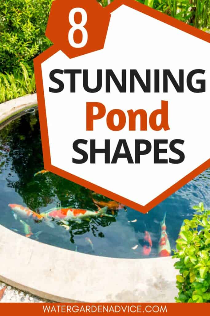 oval pond shape
