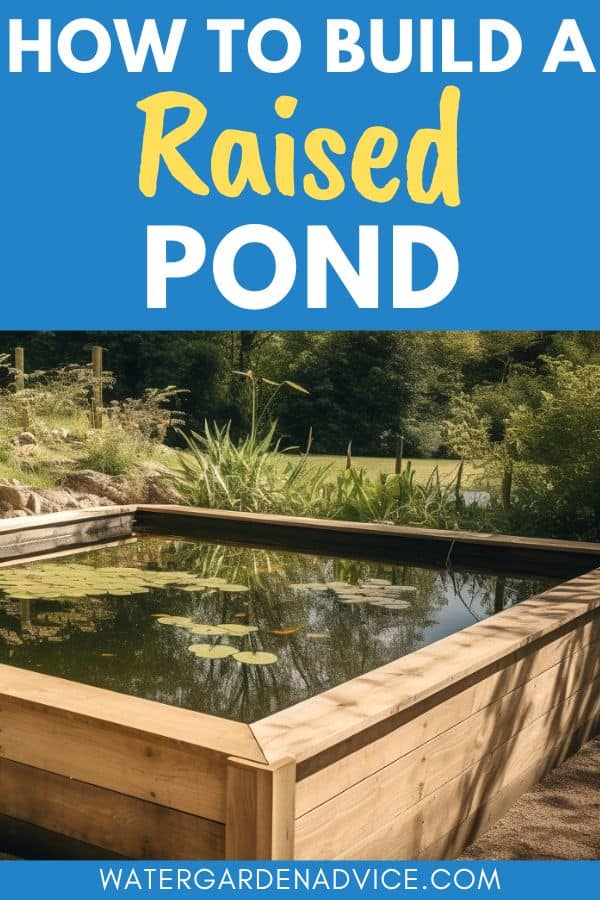 building a raised pond