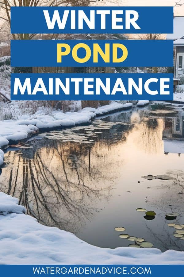 pond maintenance in winter