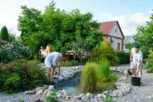 Read more about the article How to Use a Pond Vacuum Cleaner