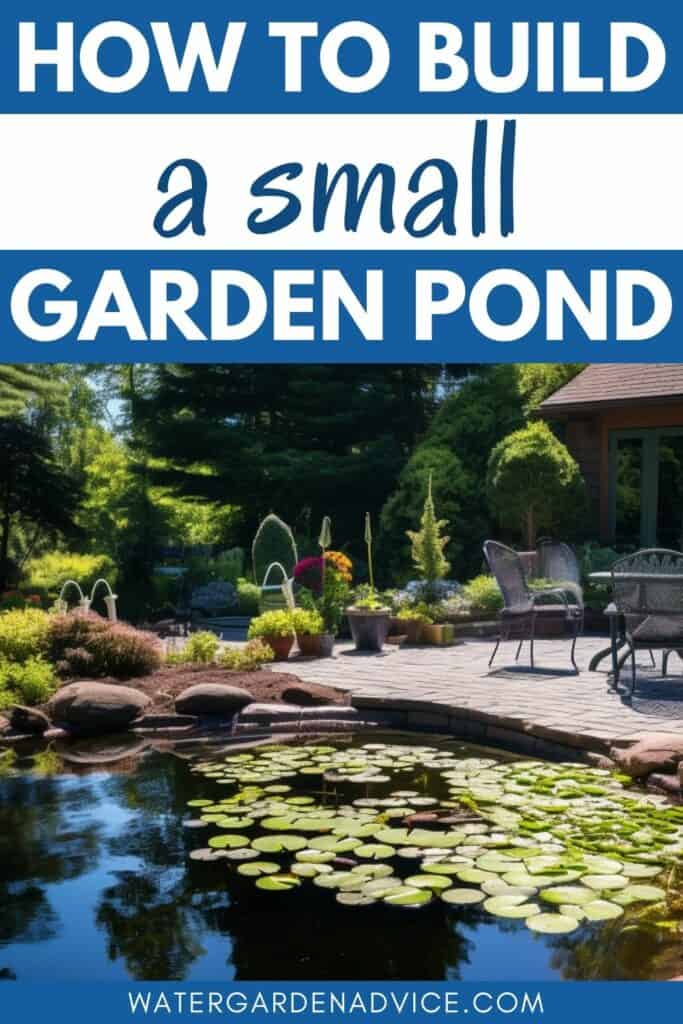 small pond construction
