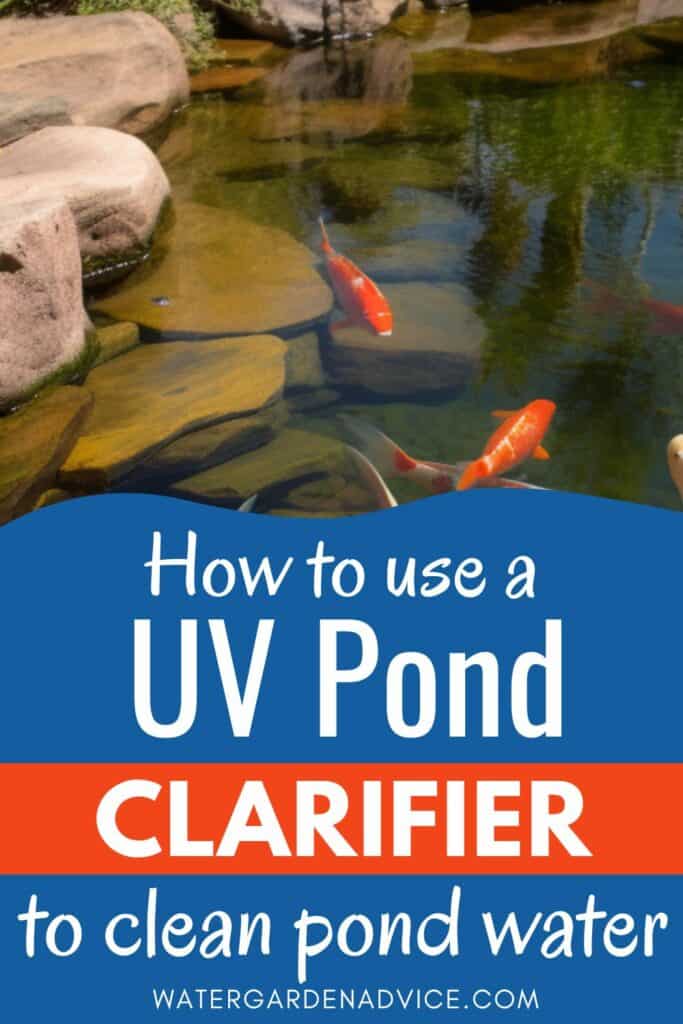 using a uv pond clarifier