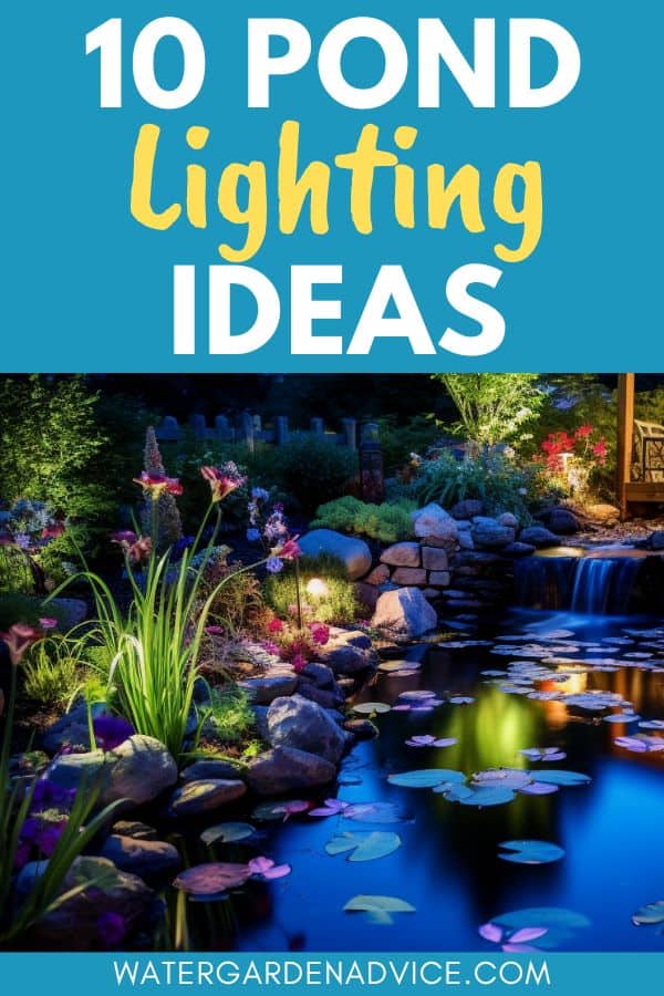 pond lighting ideas