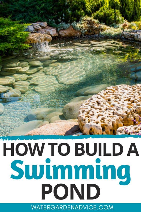 a natural backyard swimming pond