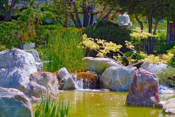 green garden pond