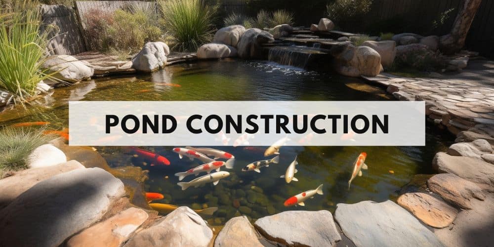 pond construction