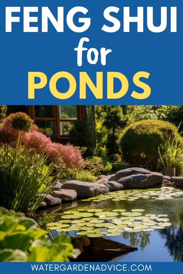 designing a pond with feng shui